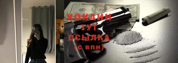 ГАЛЛЮЦИНОГЕННЫЕ ГРИБЫ Заволжье