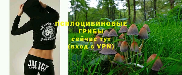 ГАЛЛЮЦИНОГЕННЫЕ ГРИБЫ Заволжье