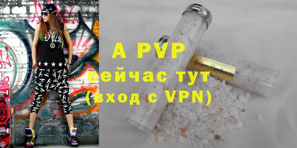 ГАЛЛЮЦИНОГЕННЫЕ ГРИБЫ Заволжье