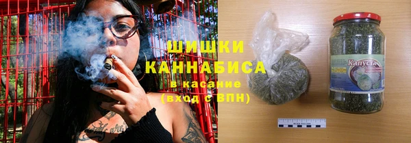 ГАЛЛЮЦИНОГЕННЫЕ ГРИБЫ Заволжье