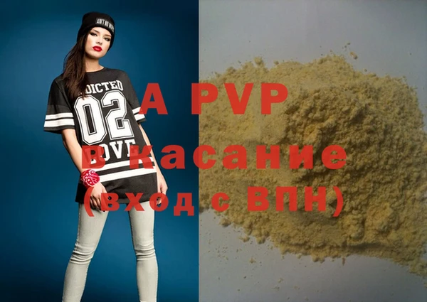 ГАЛЛЮЦИНОГЕННЫЕ ГРИБЫ Заволжье