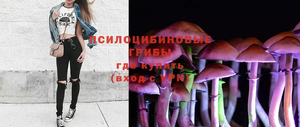 ГАЛЛЮЦИНОГЕННЫЕ ГРИБЫ Заволжье