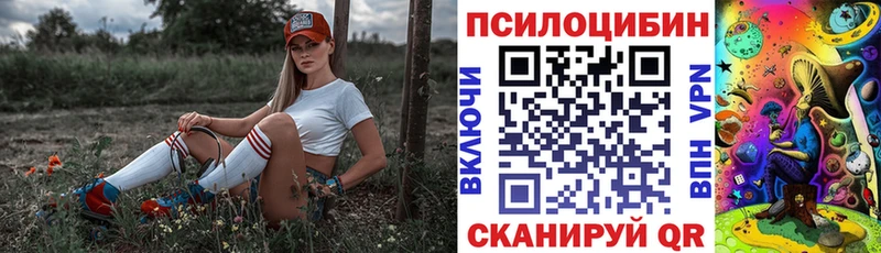 Псилоцибиновые грибы GOLDEN TEACHER  Купить  Черкесск 